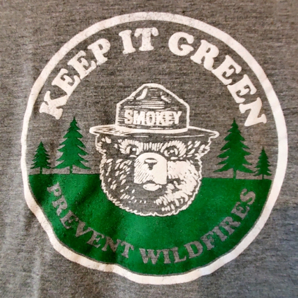 Smoky the bear heather gray graphic t-shirt